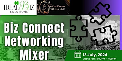 Immagine principale di Biz Connect Networking Mixer 