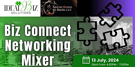Biz Connect Networking Mixer
