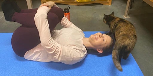 Imagen principal de April Cat Yoga: Gentle Flow Yoga with Feline Friends!