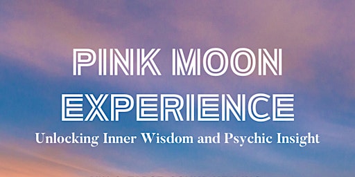 Pink Moon Experience primary image