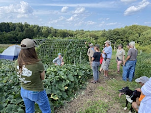 Summer Seed Saving at Trouvaille Farm