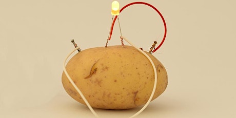 Learning How to Create a Potato Battery!  primärbild