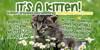 Imagem principal do evento Kitten Shower with Homeless to Home! (Graceland)