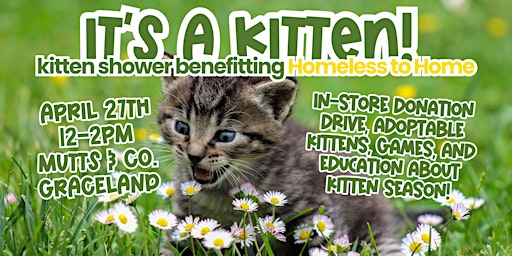 Imagem principal de Kitten Shower with Homeless to Home! (Graceland)