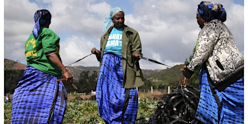 Primaire afbeelding van Preserving Traditions