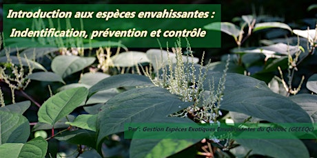 Introduction aux espèces envahissantes : identification, prévention et controle