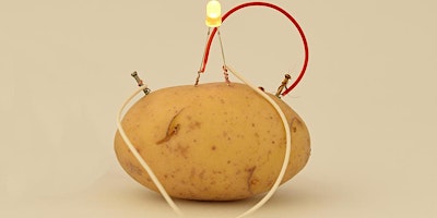Hauptbild für Learn How to Create a Potato Battery!