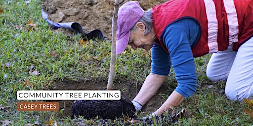 Community Tree Planting: Armed Forces Retirement Home