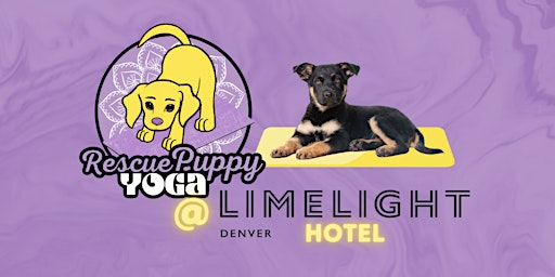 Imagem principal do evento Rescue Puppy Yoga - Limelight Hotel Denver