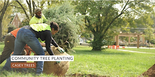 Image principale de Community Tree Planting: Congress Park Apartments