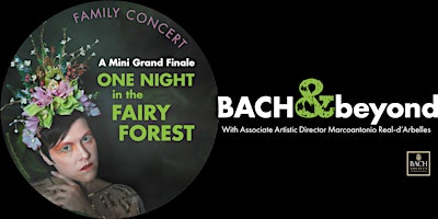 Primaire afbeelding van A Mini Grand Finale – One Night in the Fairy Forest