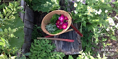 Primaire afbeelding van Springtime Urban Foraging