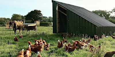 Immagine principale di Free farm tour and lunch at Somerset's regenerative farm 
