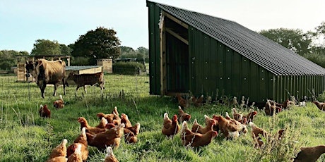 Free farm tour and lunch at Somerset's regenerative farm