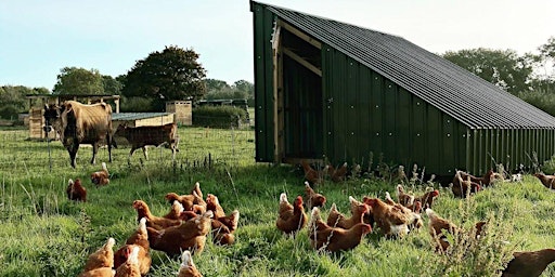 Immagine principale di Free farm tour and lunch at Somerset's regenerative farm 