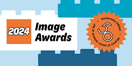 Immagine principale di 2024 Koch Institute Image Awards 