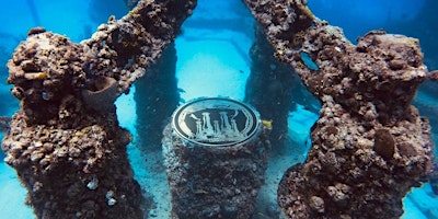 Day Trip to the Neptune Memorial Reef-Miami. Chartered Bus /Chartered Boat primary image