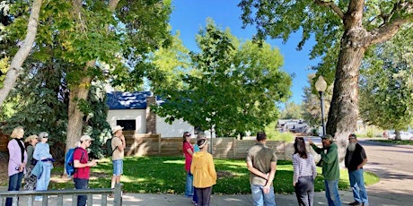 Trees of Louisville: Historical Museum Walking Tour primary image