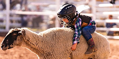 Image principale de 2024 Royal Gorge Rodeo Mutton Bustin'