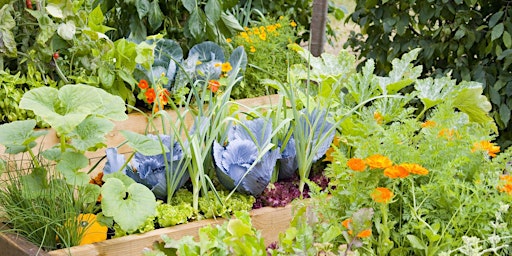 Hauptbild für The Polyculture Kitchen Garden