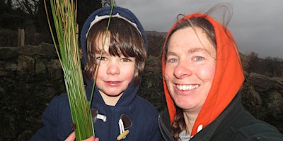 Native flowers, butterflies and bees, a mini bio blitz for the whole family primary image