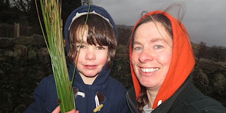 Native flowers, butterflies and bees, a mini bio blitz for the whole family