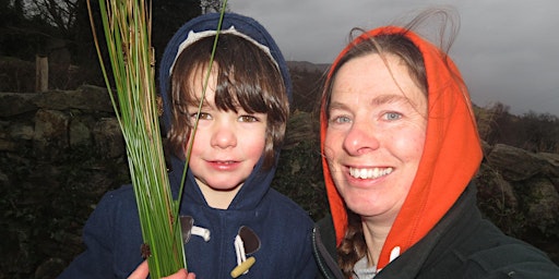 Image principale de Native flowers, butterflies and bees, a mini bio blitz for the whole family