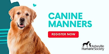 Canine Manners Course