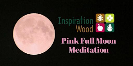 Hauptbild für Pink Full Moon Meditation with Essential Oils