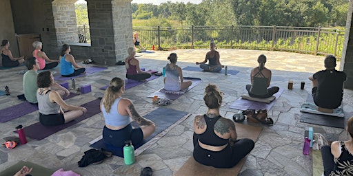 Sunday Yoga in the Vineyards primary image