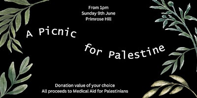 Picnic for Palestine primary image