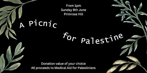 Picnic for Palestine primary image