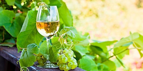 Chilean Charm: White Wines