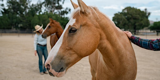 Hauptbild für Equine Serenity: A mindfulness journey with horses