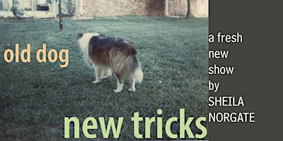 Hauptbild für OLD DOG NEW TRICKS