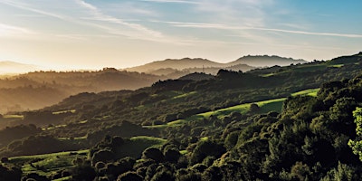 Immagine principale di Wild Herb Ramble: Tilden Nature Area 