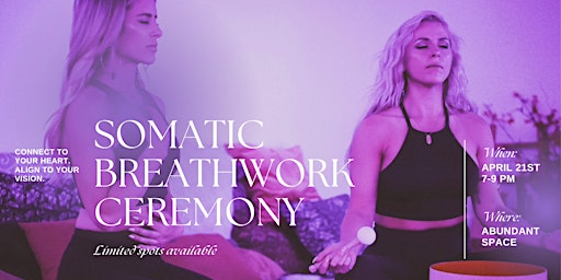 Immagine principale di Healing Co-ed Somatic Breathwork Ceremony 