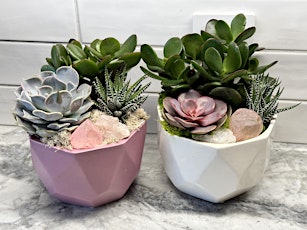 Family Plant Party: Make a Succulent Terrarium