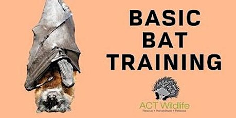 Basic Bat training