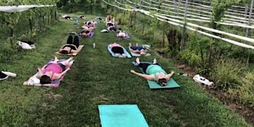 Yoga in the Vineyard primary image