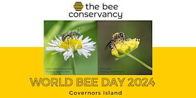 Primaire afbeelding van World Bee Day on Governors Island