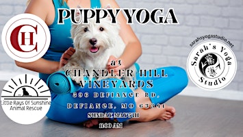 Image principale de Puppy Yoga at Chandler Hill Vineyards with Sarah's Yoga Studio