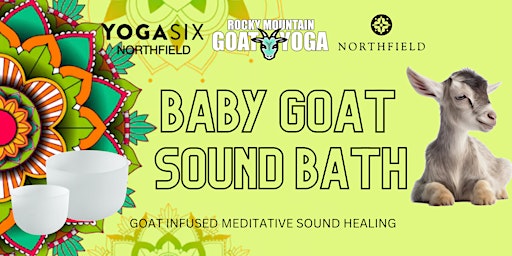 Imagem principal do evento Baby Goat Sound Bath - October 10th (NORTHFIELD)