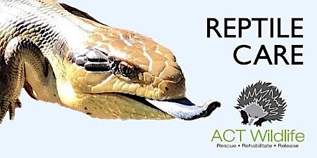 Imagem principal de Reptile Care