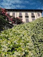 Hauptbild für Al centro della primavera