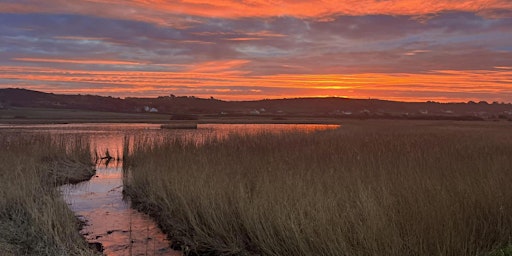 Primaire afbeelding van The golden hour