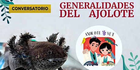 GENERALIDADES DEL AJOLOTE / CONVERSATORIO / AXOLOTL VET