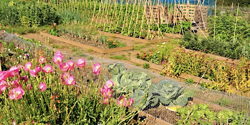 Immagine principale di Up The Allotments! Rotational and Biodynamic Growing 