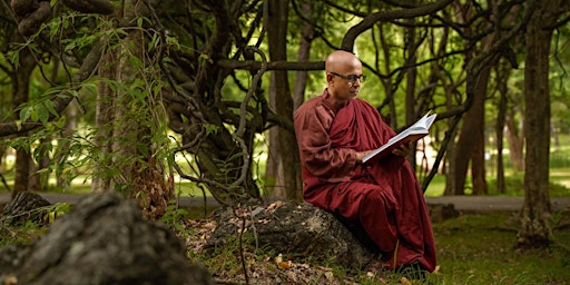 Primaire afbeelding van Practical Sutra Study with Bhante Sujatha Monthly on Zoom