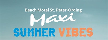 Imagen principal de MAXI SUMMER VIBES - Nicklas Sahl